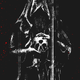 The Void